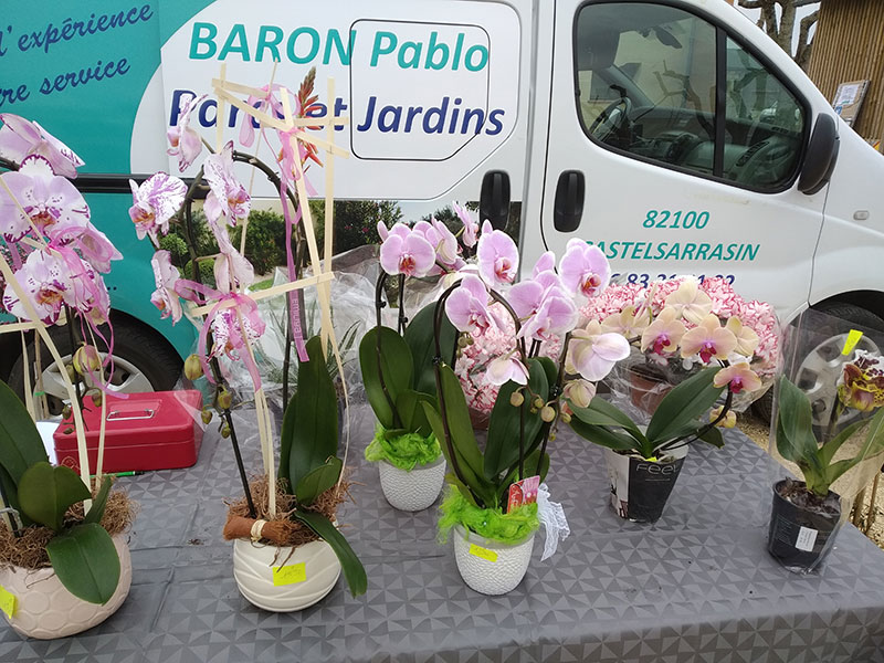 Fleurs de Pablo Baron.
